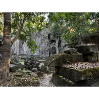 照片 柬埔寨(Cambodia) 暹粒(Siem Reap) 圣剑寺(Preah Khan) 2023-01 63