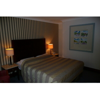照片 爱尔兰(Ireland) 都柏林(Dublin) 斯蒂芬绿地酒店(Stephen's Green Hotel) 2008-09 10