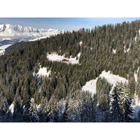 照片 法国(France) 阿尔利河畔普拉(Praz sur Arly) 2019-12 201