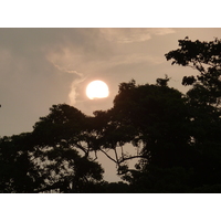 照片 新喀里多尼亚(New Caledonia) 松树岛(Ile des pins) 2010-05 13