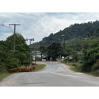 照片 泰国(Thailand) 兰塔岛(Ko Lanta) 2023-01 154