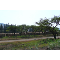 照片 南非(South Africa) 内尔斯普雷特至约翰内斯堡公路(Nelspruit to Johannesburg road) 2008-09 136