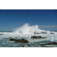 照片 南非(South Africa) 齐齐卡马国家公园(Tsitsikamma National Park) 2008-09 186