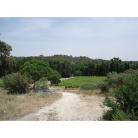 照片 法国(France) 索米耶尔(Sommieres) 2006-06 16