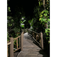 照片 泰国(Thailand) 普吉岛(Phuket) 卡伦海滩(Karon Beach) 岩石上餐厅(On the rock Restaurant) 2021-12 6