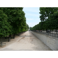 照片 法国(France) 巴黎(Paris) 杜乐丽花园(Garden of Tuileries) 2007-05 197
