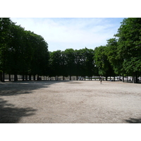照片 法国(France) 巴黎(Paris) 杜乐丽花园(Garden of Tuileries) 2007-05 320