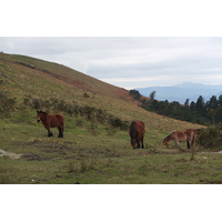 照片 法国(France) 巴斯克地区(Basque Country) 2013-01 106
