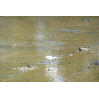 照片 法国(France) 蓬拉贝(Pont l'abbe) 2008-07 0