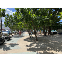 照片 泰国(Thailand) 普吉岛(Phuket) 卡塔海滩(Kata Beach) 2021-12 188