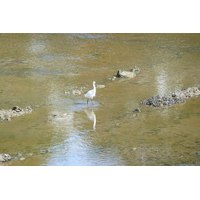 照片 法国(France) 蓬拉贝(Pont l'abbe) 2008-07 3