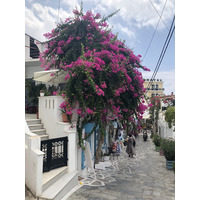 照片 希腊(Greece) 纳克索斯岛(Naxos) 2018-07 4