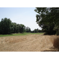 照片 法国(France) 索米耶尔(Sommieres) 2006-06 111