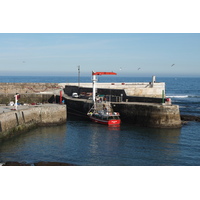 照片 西班牙(Spain) 坎塔布里亚(Cantabria) 2013-01 63