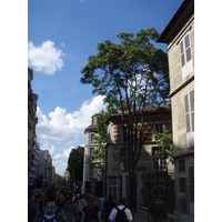 照片 法国(France) 巴黎(Paris) 轮滑漫游活动(Randonnee Roller et Coquillages) 2007-07 75