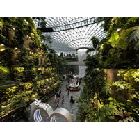 照片 新加坡(Singapore) 新加坡樟宜机场(Singapore Changi Airport) 2023-01 30