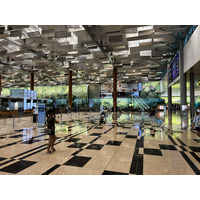 照片 新加坡(Singapore) 新加坡樟宜机场(Singapore Changi Airport) 2023-01 33