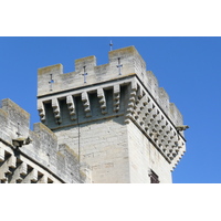 照片 法国(France) 塔拉斯孔(Tarascon) 塔拉斯孔城堡(Tarascon Castle) 2008-04 100