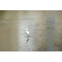 照片 法国(France) 蓬拉贝(Pont l'abbe) 2008-07 10