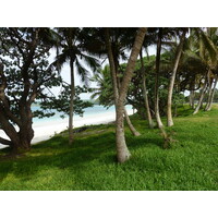 照片 新喀里多尼亚(New Caledonia) 利富岛(Lifou) 卢埃西拉(Luecilla) 2010-05 28