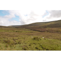 照片 英国(United Kingdom) 斯凯岛(Skye) 2011-07 175