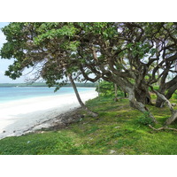 照片 新喀里多尼亚(New Caledonia) 利富岛(Lifou) 卢埃西拉(Luecilla) 2010-05 39
