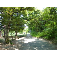 照片 日本(Japan) 东京(Tokyo) 滨离宫恩赐庭园(Hama rikyu Gardens) 2010-06 118