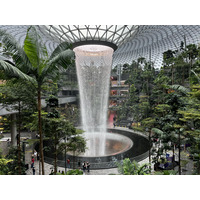 照片 新加坡(Singapore) 新加坡樟宜机场(Singapore Changi Airport) 2023-01 45