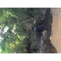 照片 泰国(Thailand) 普欣隆卡国家公园(Phu Hin Rong Kla National Park) 2014-12 246