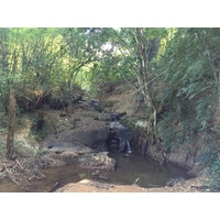 照片 泰国(Thailand) 普欣隆卡国家公园(Phu Hin Rong Kla National Park) 2014-12 225