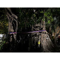 照片 泰国(Thailand) 大皮皮岛(Ko Phi Phi Don) 2021-12 109