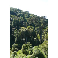 照片 南非(South Africa) 自然谷(Nature's Valley) 2008-09 36