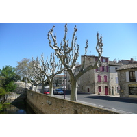 照片 法国(France) 塔拉斯孔(Tarascon) 塔拉斯孔城堡(Tarascon Castle) 2008-04 171
