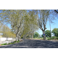 照片 法国(France) 博凯尔(Beaucaire) 2008-04 28