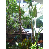 照片 泰国(Thailand) 曼谷(Bangkok) 都喜天阙酒店(Dusit Tani Hotel) 2005-12 25