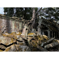 照片 柬埔寨(Cambodia) 暹粒(Siem Reap) 塔布茏寺(Ta Prohm) 2023-01 137