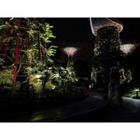 照片 新加坡(Singapore) 滨海湾花园(Garden by the bay) 2023-01 3