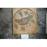 照片 约旦(Jordan) 安曼(Amman) 罗马剧场(Roman Theater) 约旦民间传统博物馆(Jordan Museum of Popular tradition) 2007-12 0