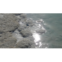照片 以色列(Israel) 埃因博克(Boqeq) 2007-06 153