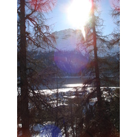 照片 瑞士(Switzerland) 库尔至圣莫里茨公路(Chur to St Moritz Road) 2007-01 46