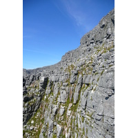 照片 南非(South Africa) 开普敦(Cape Town) 桌山(Table Mountain) 2008-09 32