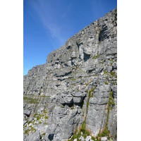 照片 南非(South Africa) 开普敦(Cape Town) 桌山(Table Mountain) 2008-09 35