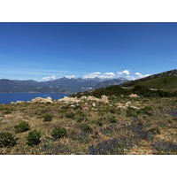 照片 法国(France) 科西嘉岛(Corsica) 罗索角(Capo Rosso) 2023-05 28