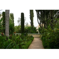 照片 摩洛哥(Morocco) 非斯(Fes) 贾迈宫酒店(Palais Jamai Hotel) 2008-07 93