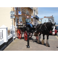 照片 英国(United Kingdom) 彭布罗克郡(Pembrokeshire) 滕比(Tenby) 2006-05 27