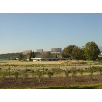 照片 法国(France) 滨海卡涅(Cagnes sur Mer) 2006-01 31