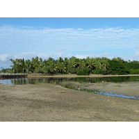 照片 斐济(Fiji) 楠迪至辛加东卡公路(Nadi to Sigatoka road) 2010-05 0