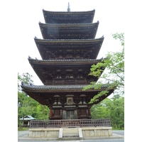 照片 日本(Japan) 京都(Kyoto) 仁和寺(Ninna ji Temple) 2010-06 29