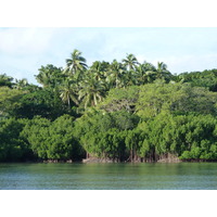 照片 斐济(Fiji) 楠迪至辛加东卡公路(Nadi to Sigatoka road) 2010-05 32