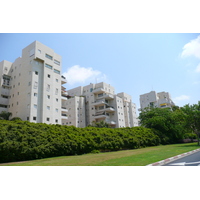照片 以色列(Israel) 特拉维夫(Tel Aviv) 罗卡赫街(Rokach Street) 2007-06 5